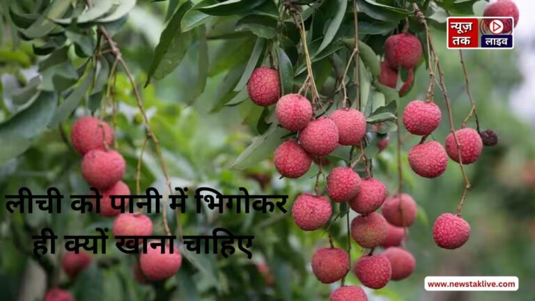 Health Tips: लीची को पानी में भिगोकर ही खाया जाता है, जानिए क्यों