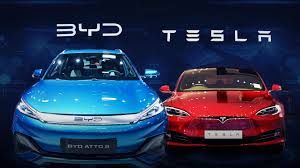 byd tesla cars