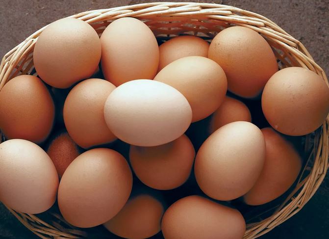 98756231564987865423156487