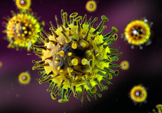 virus-750.jpg